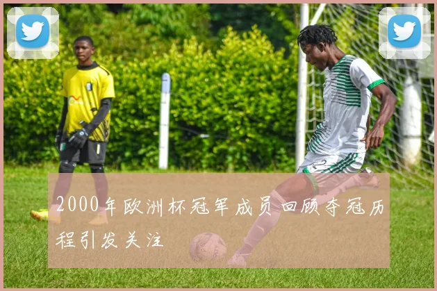 2000年欧洲杯冠军成员回顾夺冠历程引发关注