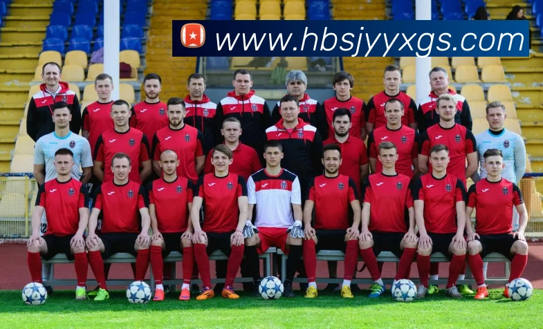 爱游戏官网平台生态图