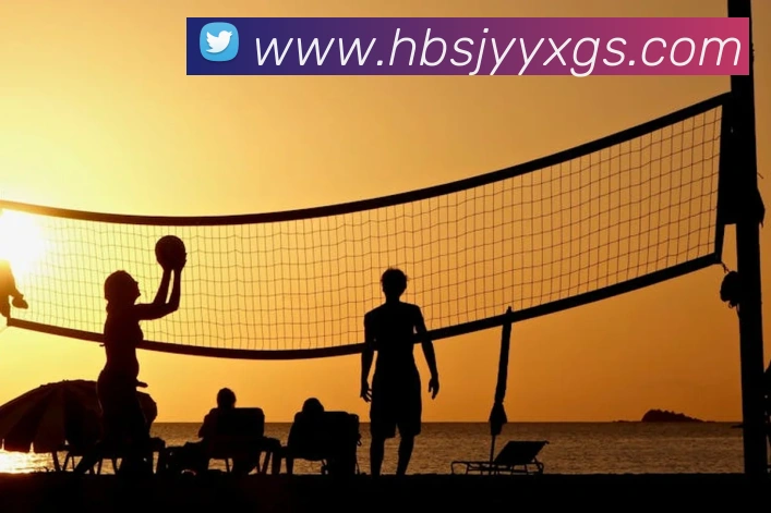 爱游戏官网APP 封面图